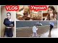 VLOG Алису укусил Хомка