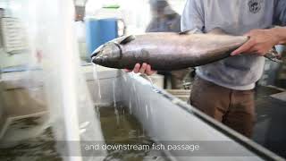 2022 Fish Passage Conference Hosted by PNNL