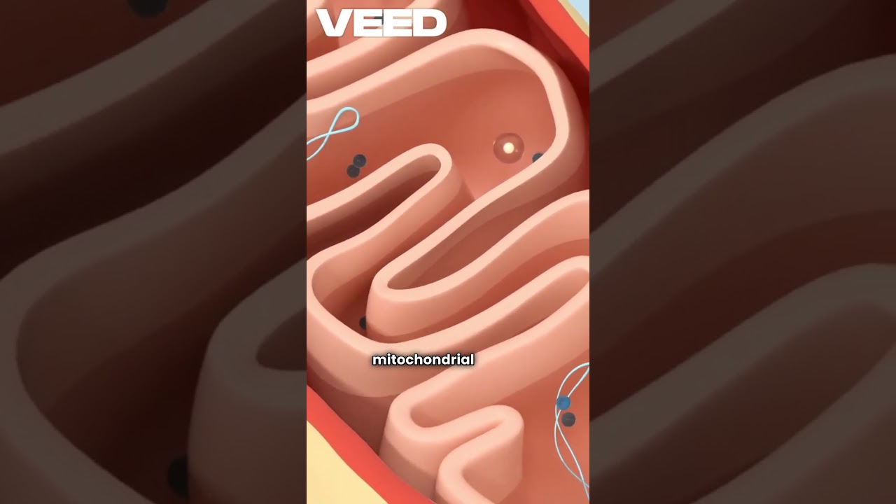 How Mitolyn Supports Mitochondrial Health-VEED #healthyliving #Mitochondrial, #herbalremedies