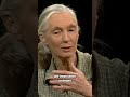 Dr. Jane Goodall envisions a world where animals are treated with human-like compassion.