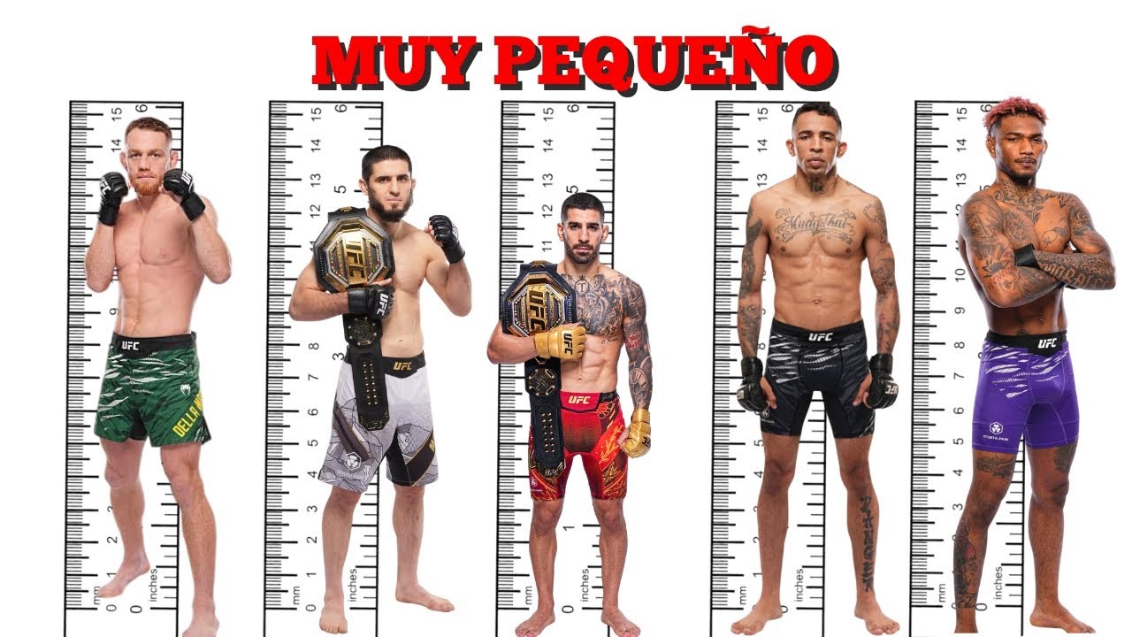 ¿ES ILIA TOPURIA MUY PEQUEÑO PARA EL PESO WELTER?