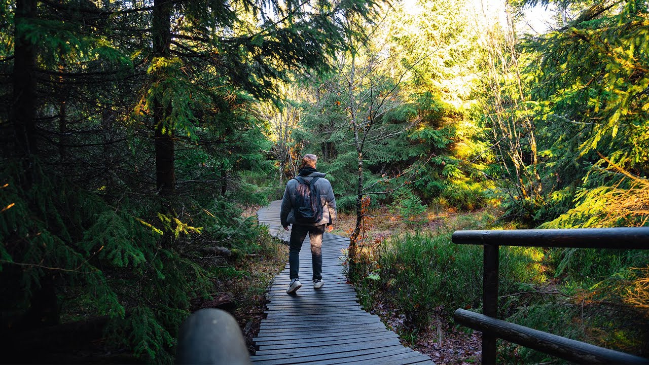 Hiking the Lotharpfad - Northern Black Forest, Germany