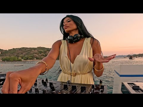 komodo island sunset organic house mix