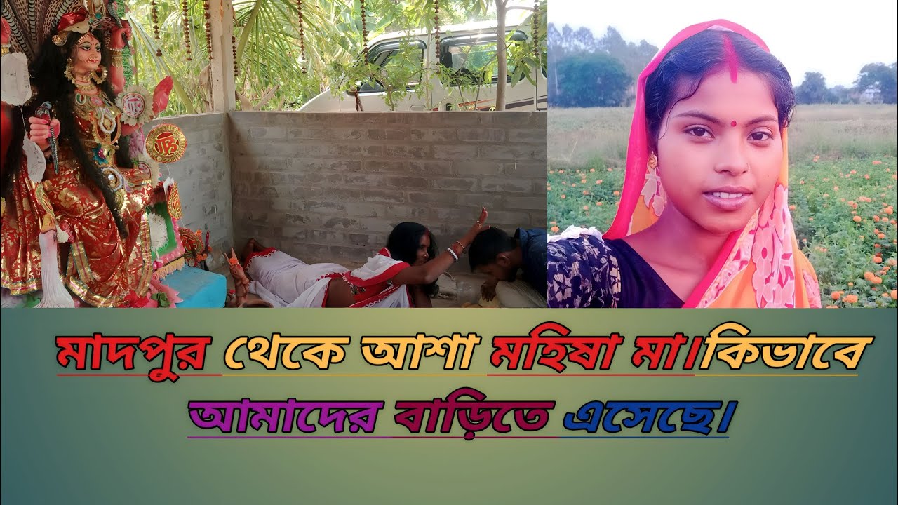 মাদপুর থেকে আশা মহিষা মা।কি ভাবে আমাদের বাড়িতে এসেছে।