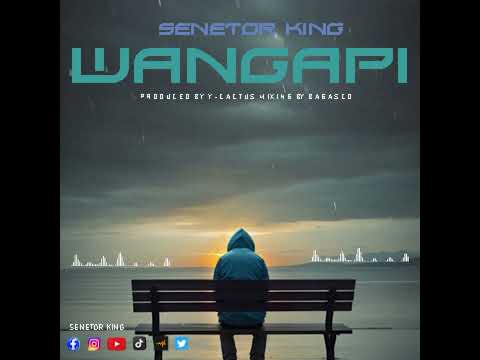 Senetor King Wangapi Official Audio