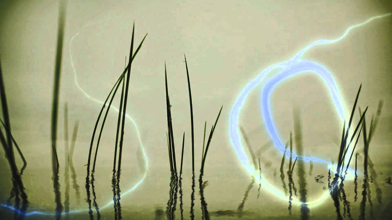 Alex Chester - The Lost Lantern