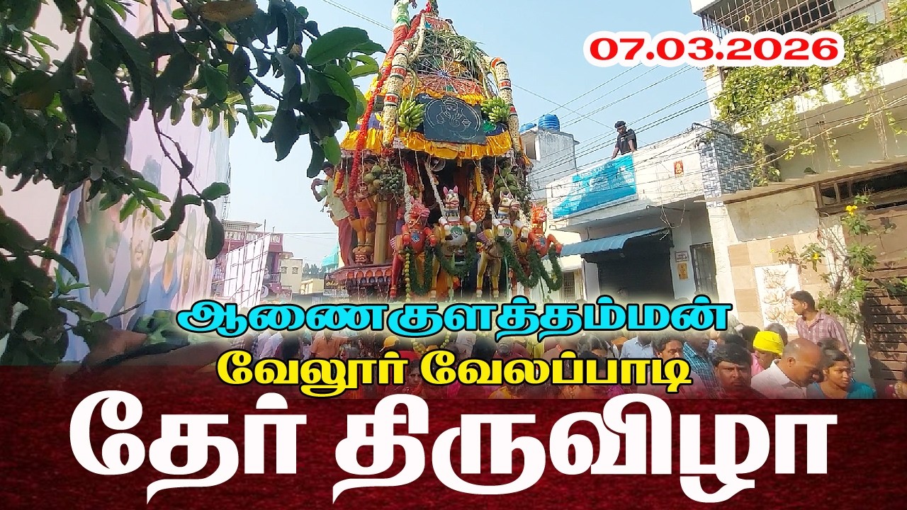 திருத்தேர் திருவிழாஸ்ரீ ஆனைகுளத்தம்மன்  / வேலூர் வேலப்பாடி