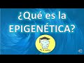 ¿Qué es la epigenética y por qué es importante?