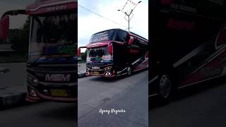 Modul DAV Dari bus ASYROF SHE JALOE?? busmania trending basuri