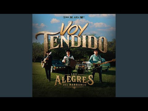 Voy Tendido - ytrend · 유튜브 댓글 분석 🧭