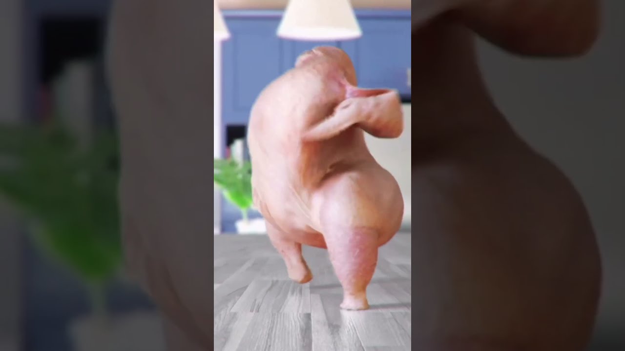 La danse du poulet