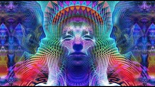 Salvia Divinorum Presentation by Gwyllm Llwydd