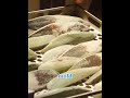 The Hardest Food on Earth Takes 4 Months to Make