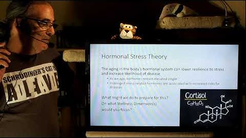 Psy 3335   Lecture 5 Pt 4