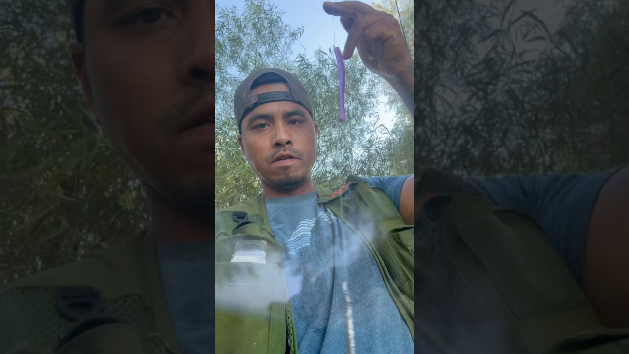 Roboworm Drop Shot Rig