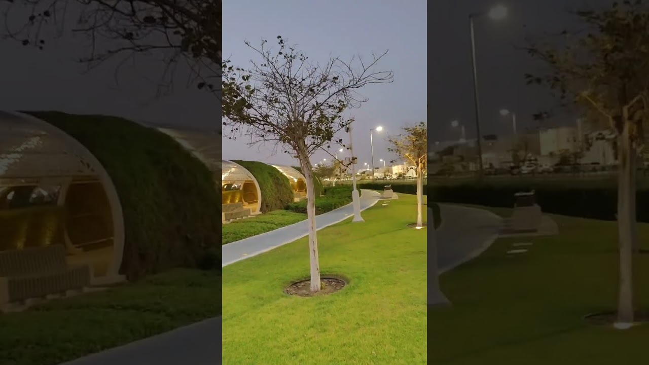 Good Morning from a Peaceful Park 🌿 | Soothing Nature Vibes" feerante Kumar