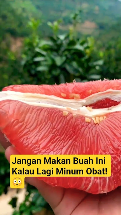 Bahaya Makan Buah Ini Lagi Minum Obat! 😳#ViralShorts #FoodWarning #GrapefruitDanger  #YouTubeShorts