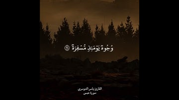 الشيخ ياسر الدوسري سورة عبس