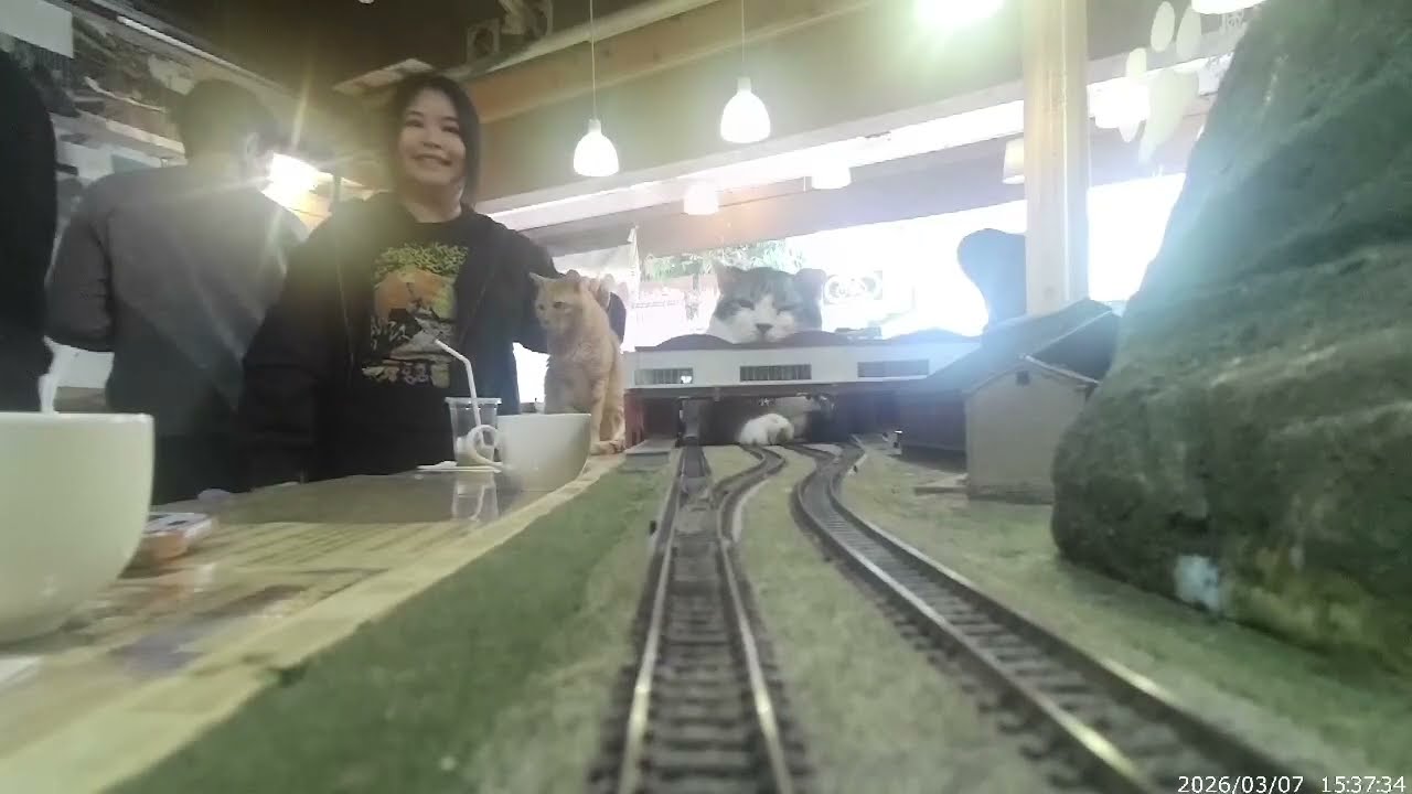 Lucky’s Adventure on the Diorama – Latest Information from Diorama Shokudo