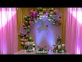 Floral butterfly  pink  gold birt.ay deco  cats eye events