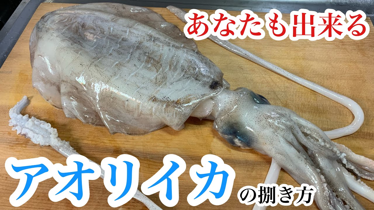 アオリイカ 初心者でも簡単 アオリイカの捌き方 Youtube アオリイカ 初心者でも簡単 アオリイカの捌き方 Youtube