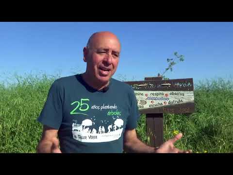 Marchena es verde por El Taller Verde Ecologistas en Acción Marchena