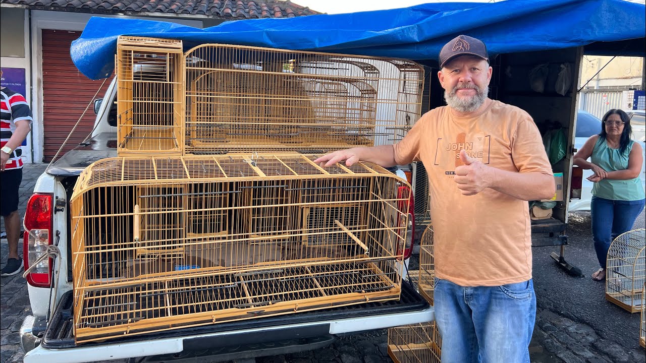 Feira de pássaros do Cordeiro 04/05/2025 pássaros gaiolas promoções