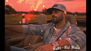 Roni - Kul Hakkı