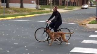 Swagger learning bike riding!