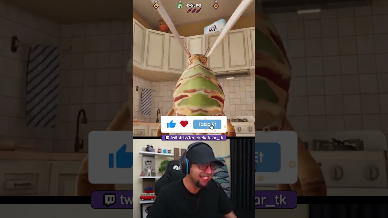 Mmmh şapır şupur🦟