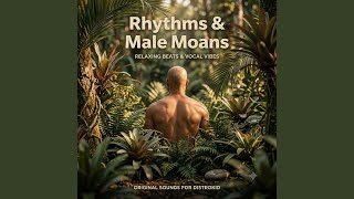 Download Lagu Rhythms & Male Moans