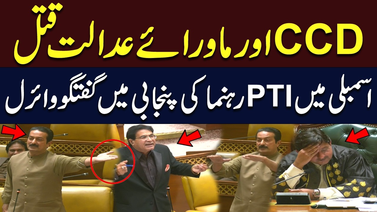 Punjab CCD Controversy: PTI Leader Slams Punjab Govt | Viral Punjabi Speech | Hum News | Pakistan
