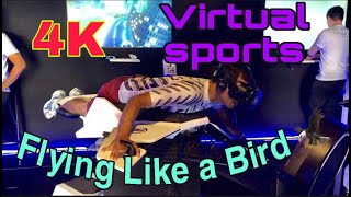 Flying the Birdly Virtual Reality Simulator Sports||4K||