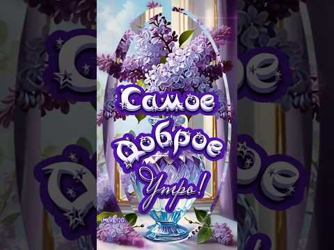 #доброеутро #сдобрымутромоткрыткимузыкальные #доброеутречкохорошегодня #сдобрымутром