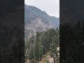 camping side #mountains #coversong