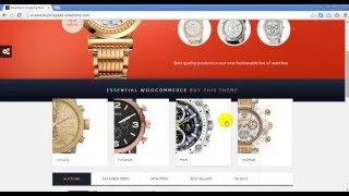 Essential - Responsive, Retina, WooCommerce Shopping and Auction Theme Preview