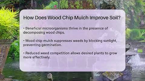 How Does Wood Chip Mulch Improve Soil? - The Plant Enthusiast
