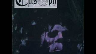 Ensoph Venice Only Moonbeam Lilies For A Venetian Rose