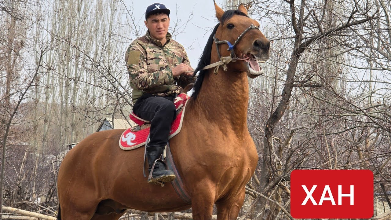 ХАН  Асамидинде   Таза Кара Байыр 