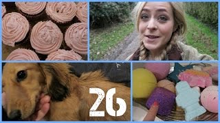 Cupcakes & Cuddles! FebVlog 26