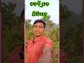 କେଉଁ ଫଳ ପିଙ୍ଗିଥାଉ | odia gk general knowledge video | #satya #satyaeducation #viralvideo |