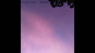 Cerebral Beats - DEWR