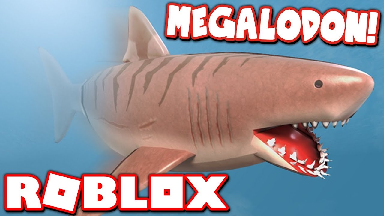 Buying The New Megalodon In Sharkbite Update Roblox Youtube