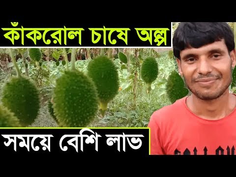 ভিডিও: রাষ্ট্রদ্রোহ। মিলন সম্ভব?