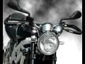 ACERBIS NEW DUAL ROAD HANDGUARD