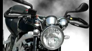 ACERBIS NEW DUAL ROAD HANDGUARD