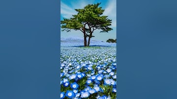 "قَوْلٌ مَّعرُوفٌ وَمَغْفرَةٌ‏ خَيْرٌ مِّن صدَقَةٍ يَتْبَعُهَا أَذًى" #فارس_عباد #سورة_البقرة #للنشر