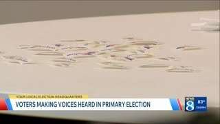 Voters making voices heard in primary election