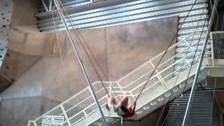 Benjamin On The Aviator Sky Bounce