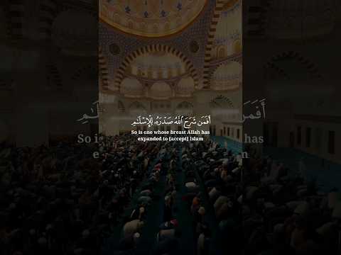 أفمن شرح الله صدره للإسلام فهو على نور من ربه فويل للقاسية قلوبهم من ذكر الله ياسر الدوسري